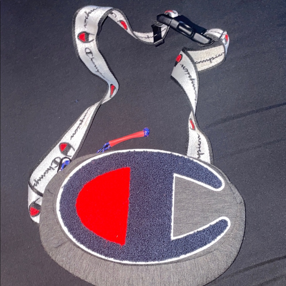 Champion Gray and Blue Crossbody Bag